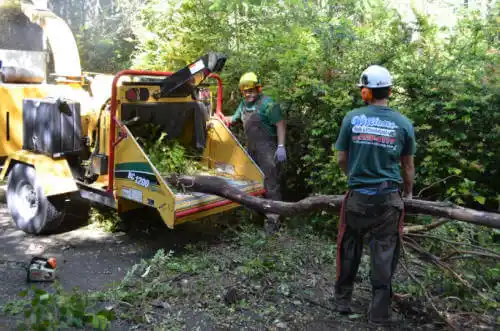 tree services Pomona Park